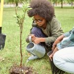 Little boy watering small tree after planting it in park